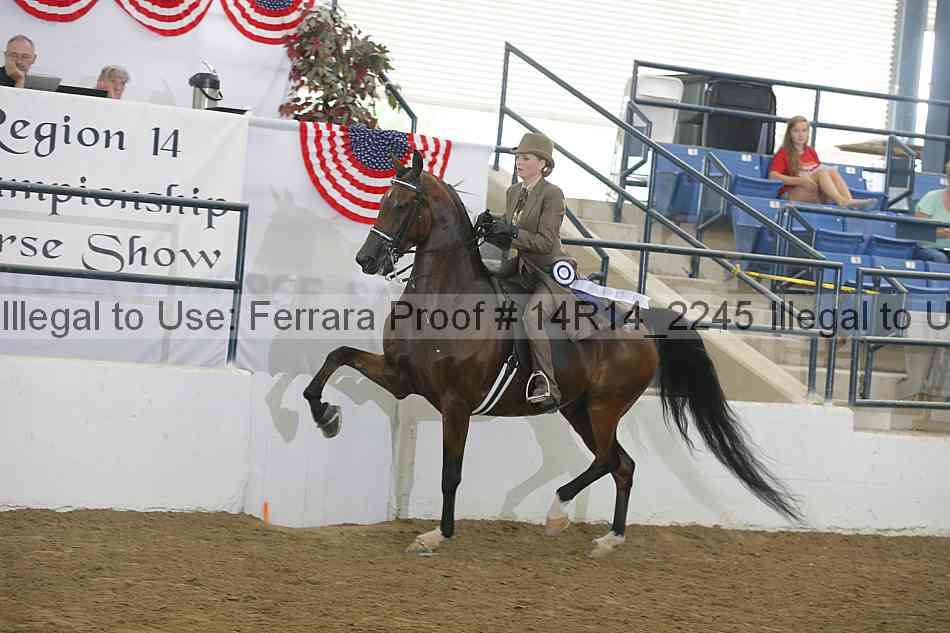 Proof 14r14_2245