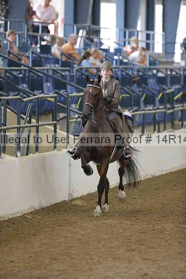 Proof 14r14_2247