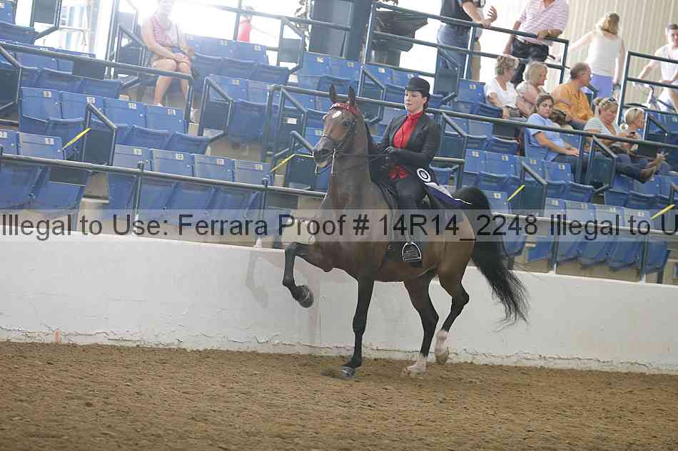 Proof 14r14_2248