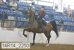 14r14_2250 proof