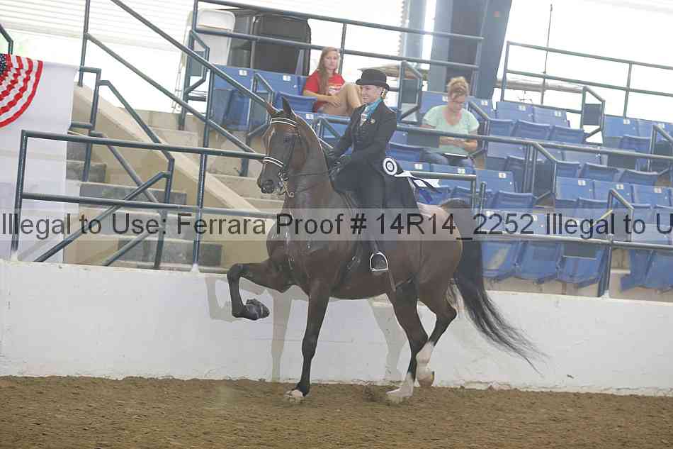 Proof 14r14_2252