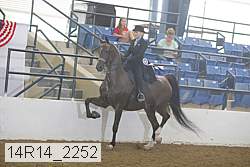 14r14_2252 proof