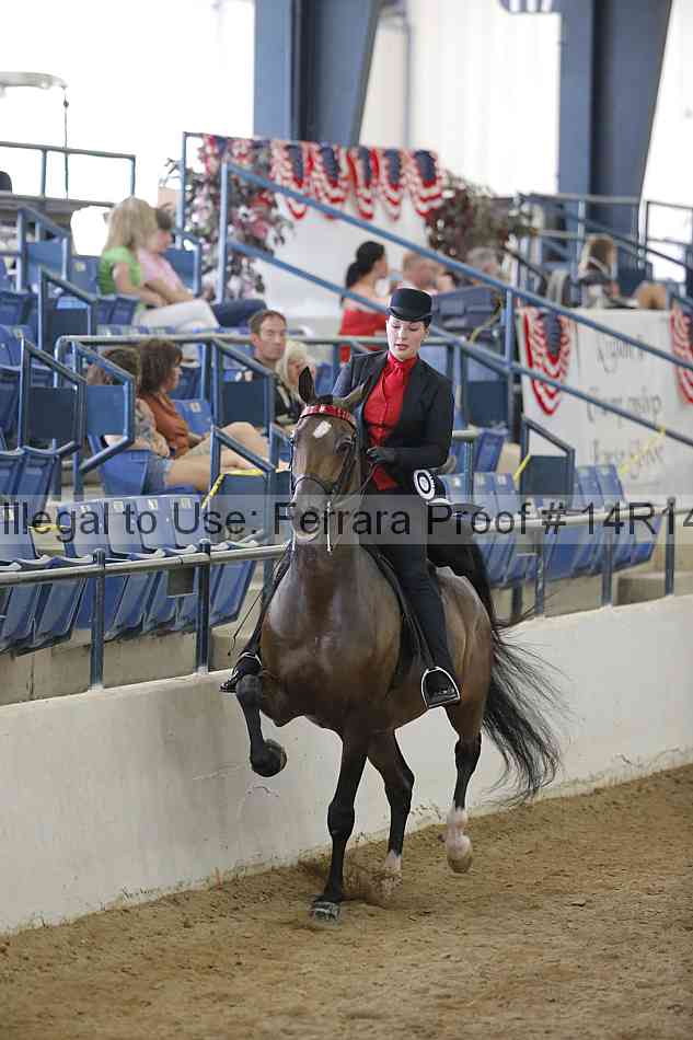 Proof 14r14_2255