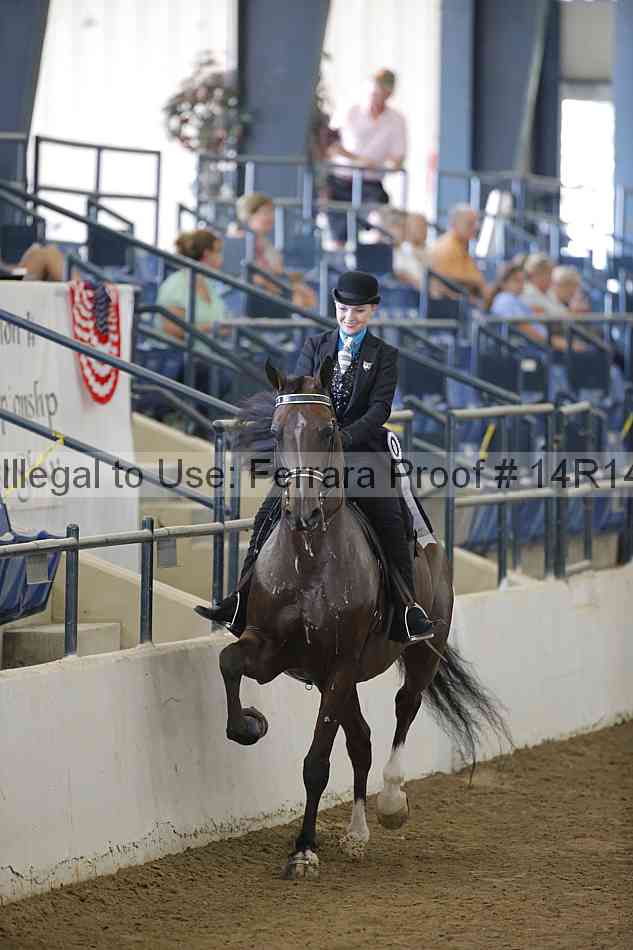 Proof 14r14_2256