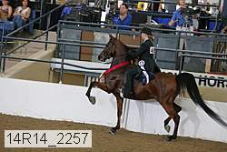 14r14_2257 proof