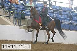 14r14_2260 proof