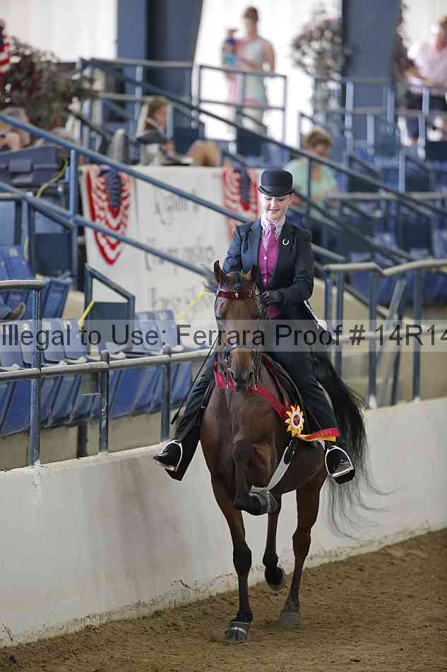 Proof 14r14_2263