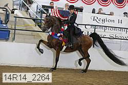14r14_2264 proof