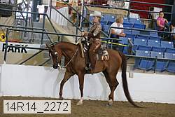 14r14_2272 proof