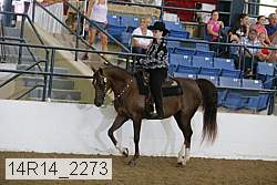 14r14_2273 proof