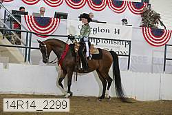 14r14_2299 proof
