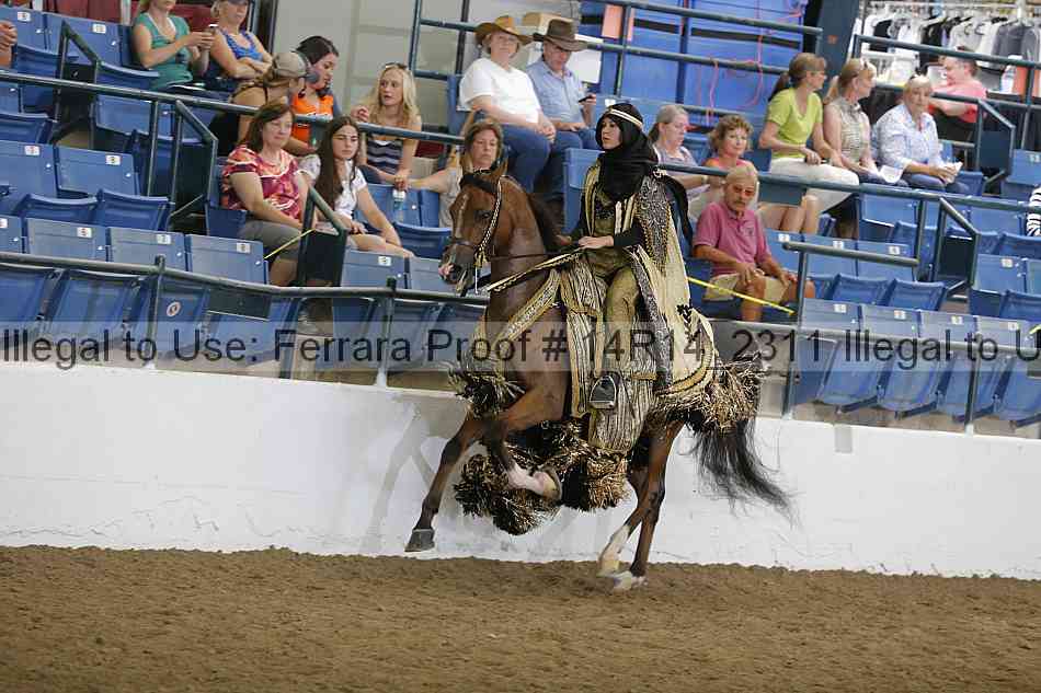 Proof 14r14_2311