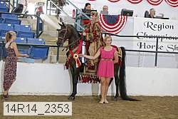 14r14_2353 proof