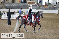14r14_2359 proof
