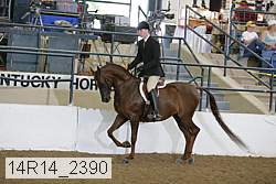 14r14_2390 proof