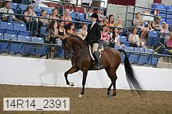 14r14_2391 proof