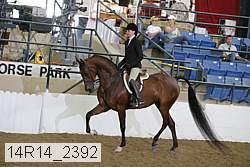 14r14_2392 proof