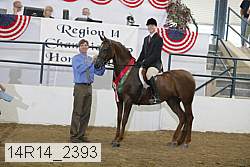 14r14_2393 proof