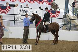14r14_2394 proof