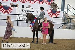 14r14_2396 proof