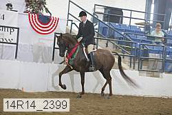 14r14_2399 proof