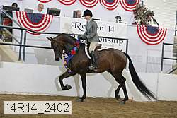 14r14_2402 proof
