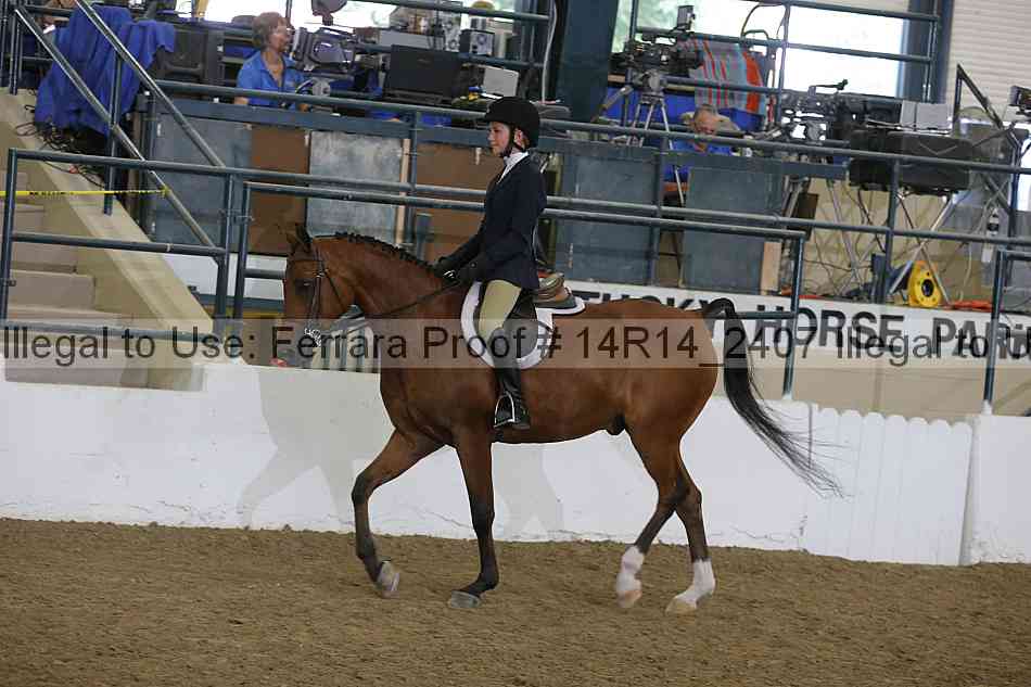 Proof 14r14_2407