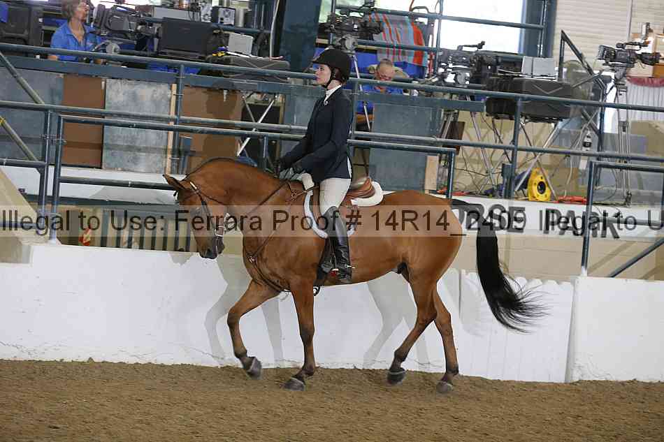 Proof 14r14_2409