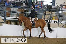 14r14_2409 proof