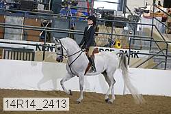 14r14_2413 proof