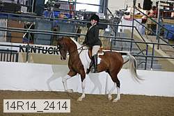 14r14_2414 proof