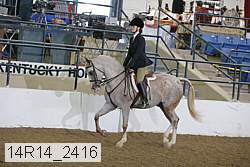 14r14_2416 proof
