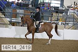 14r14_2419 proof
