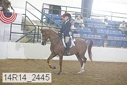 14r14_2445 proof