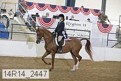 14r14_2447 proof