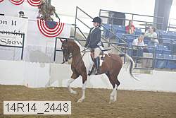 14r14_2448 proof