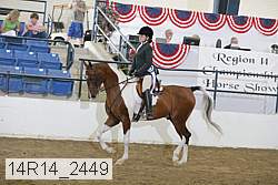 14r14_2449 proof