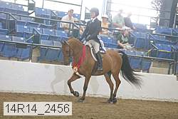 14r14_2456 proof