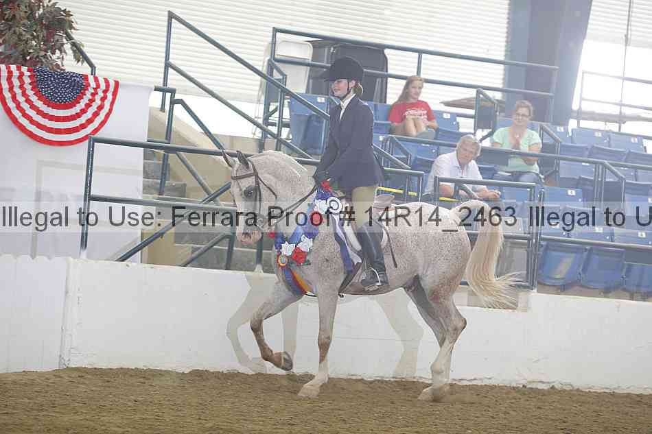Proof 14r14_2463