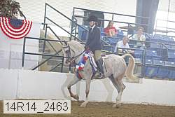14r14_2463 proof