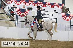 14r14_2464 proof