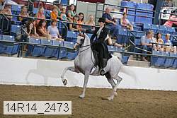 14r14_2473 proof