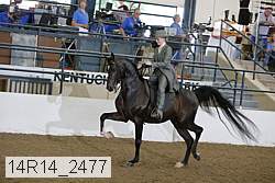14r14_2477 proof