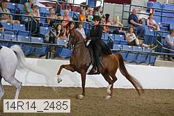 14r14_2485 proof