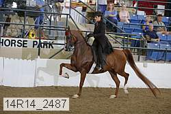 14r14_2487 proof
