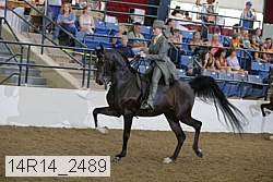 14r14_2489 proof