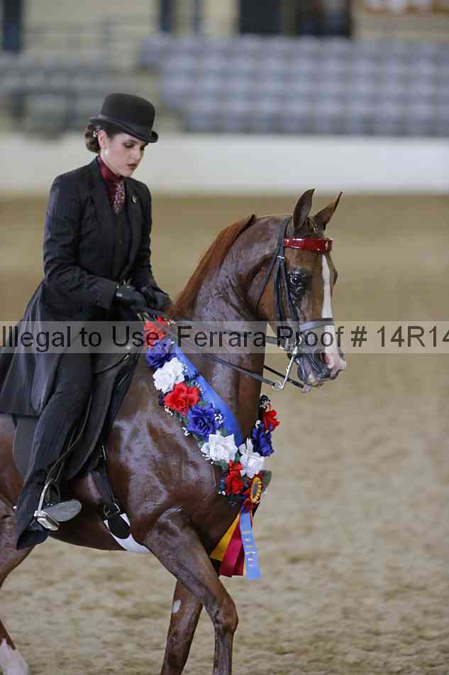 Proof 14r14_2525