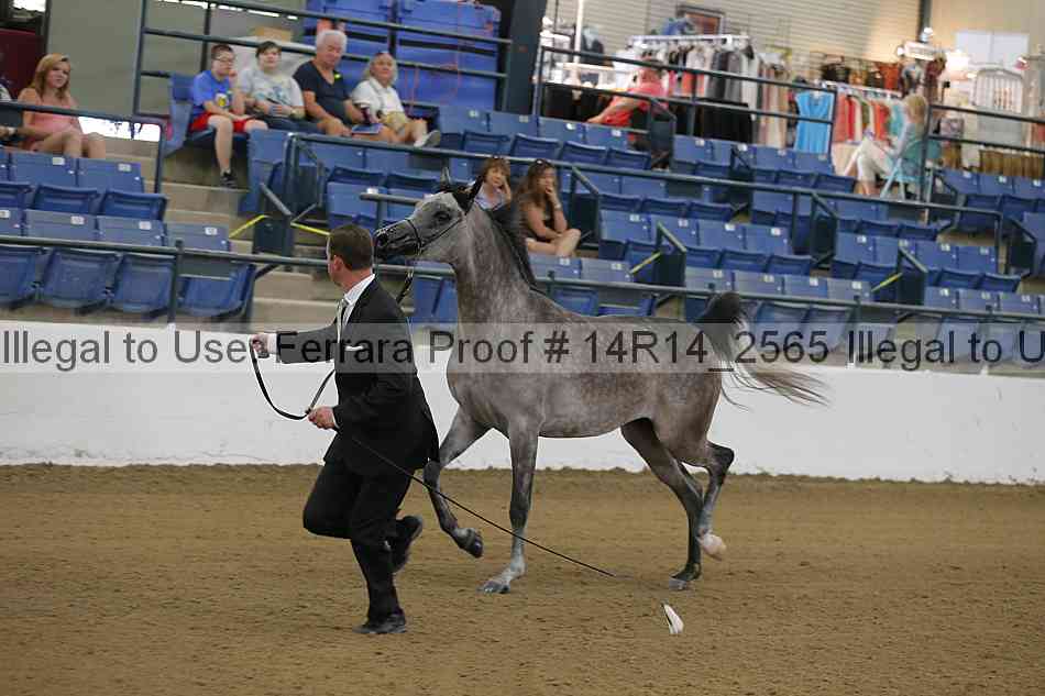 Proof 14r14_2565