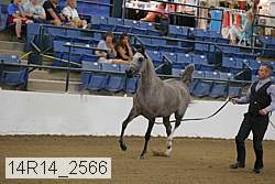 14r14_2566 proof