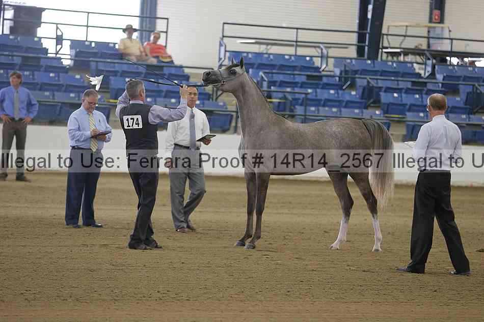 Proof 14r14_2567